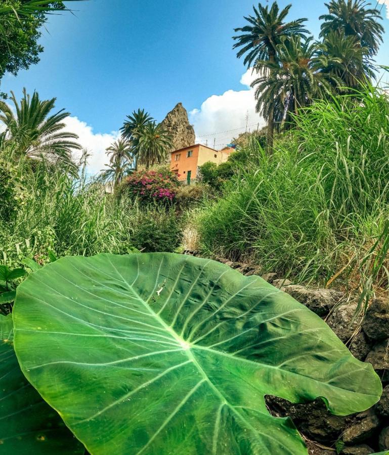 Casa Buganvilla Hermigua Dış mekan fotoğraf